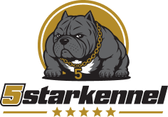 5starkennel